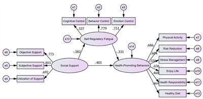 The associations between social support, self-regulatory fatigue, and health-promoting behaviors among people with type 2 diabetes mellitus: a cross-sectional survey